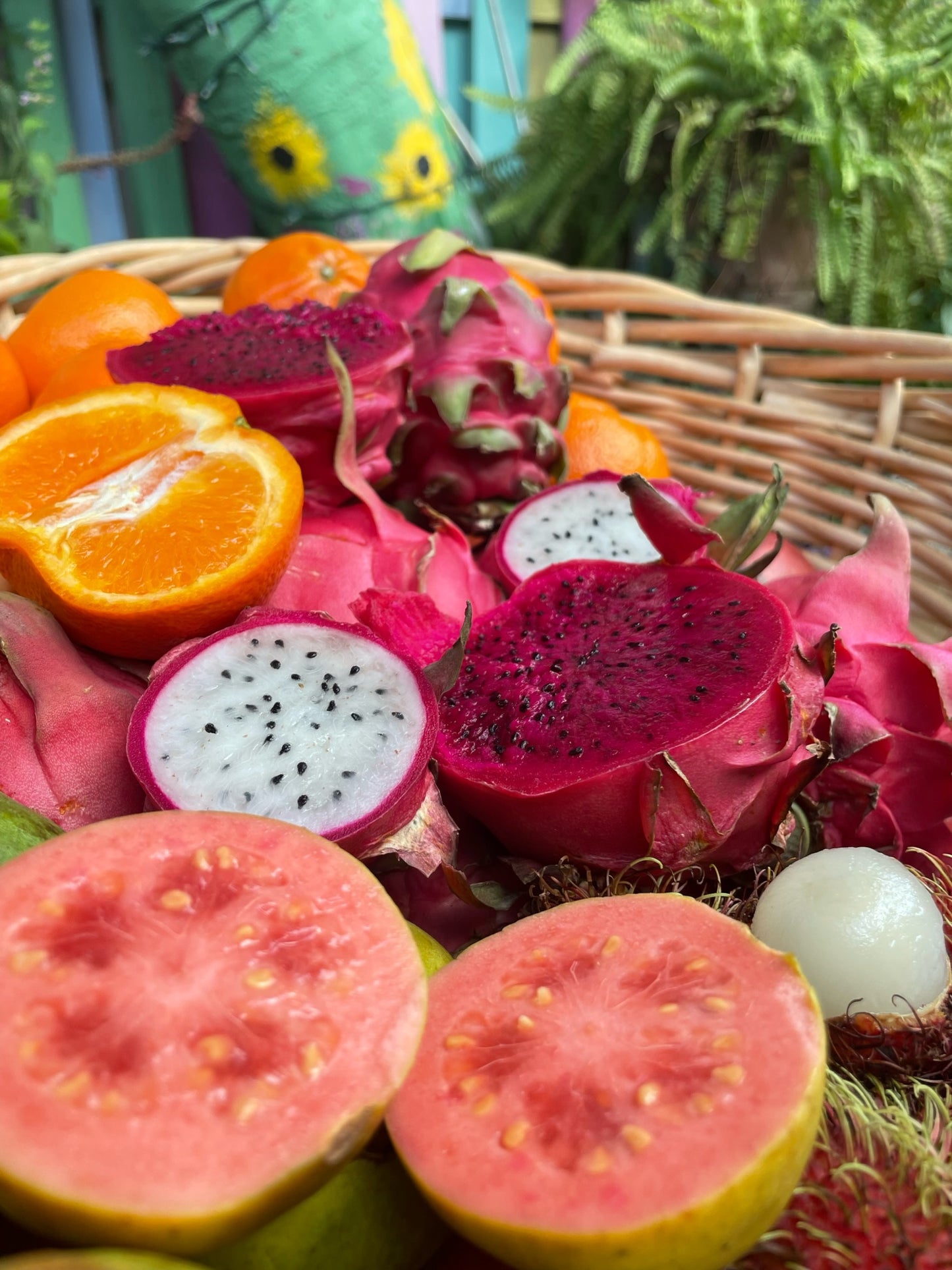 Tropical Fruit Variety Box