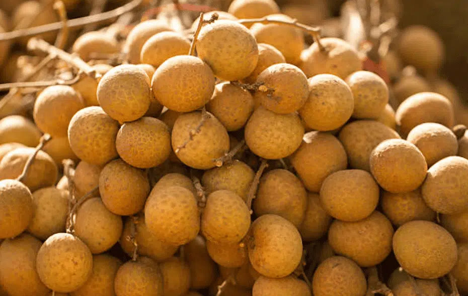 Longan ***pre-order***