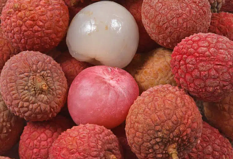 Lychee