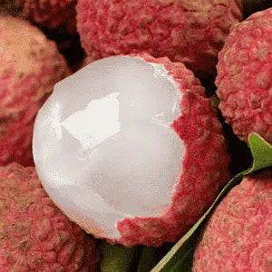 Lychee