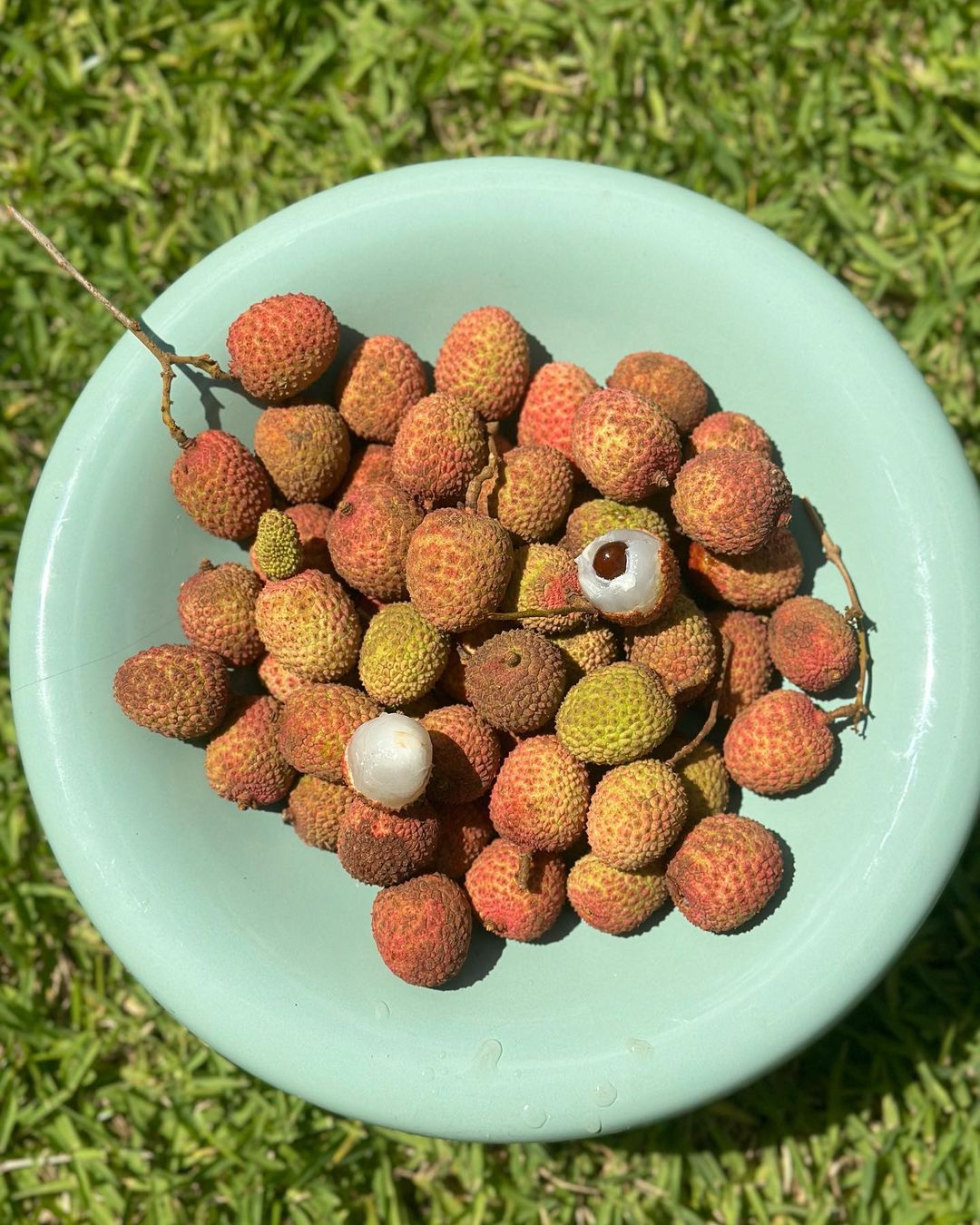 Lychee