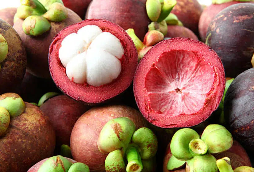 Mangosteen