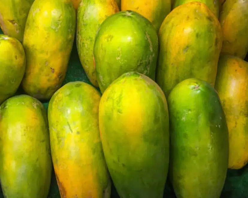 Papaya