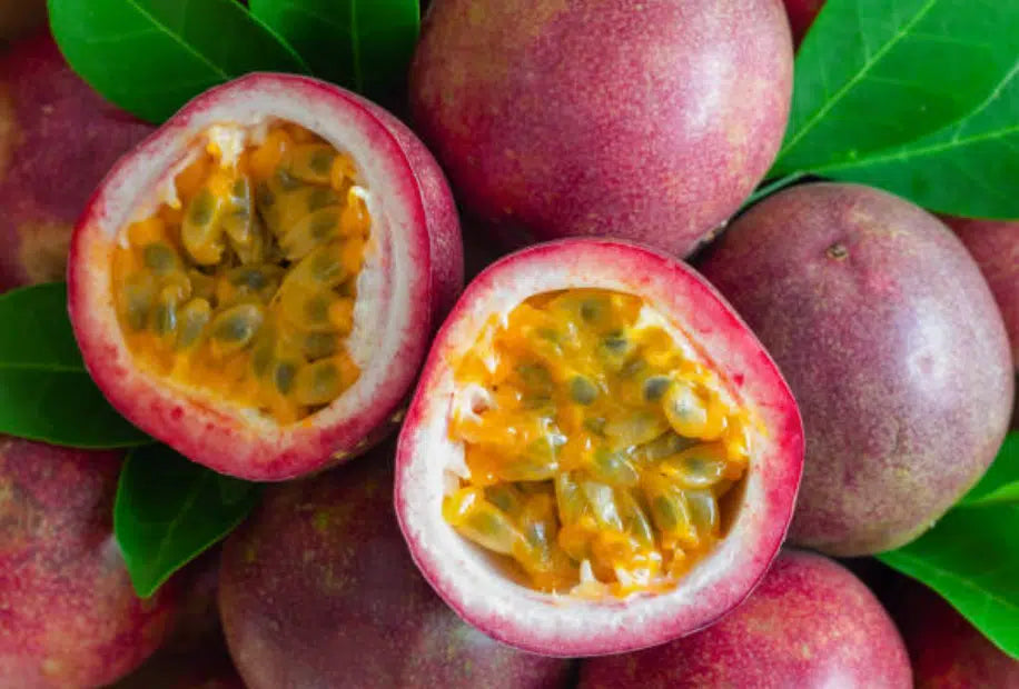 Passion Fruit Maracuya