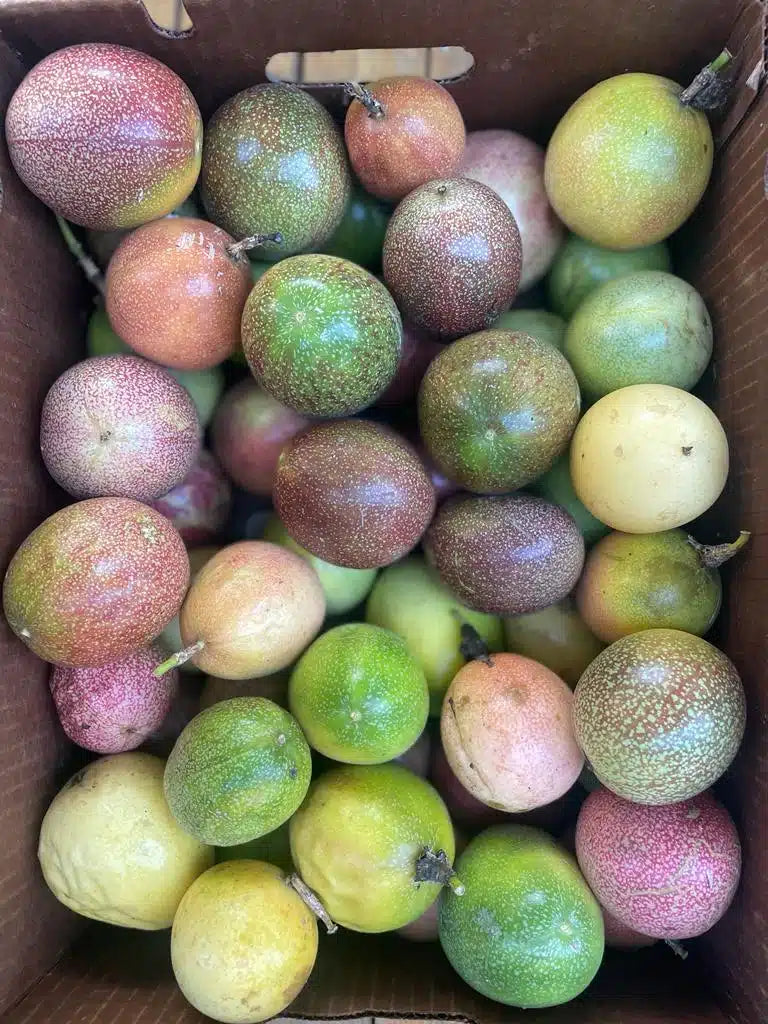 Passion Fruit Maracuya