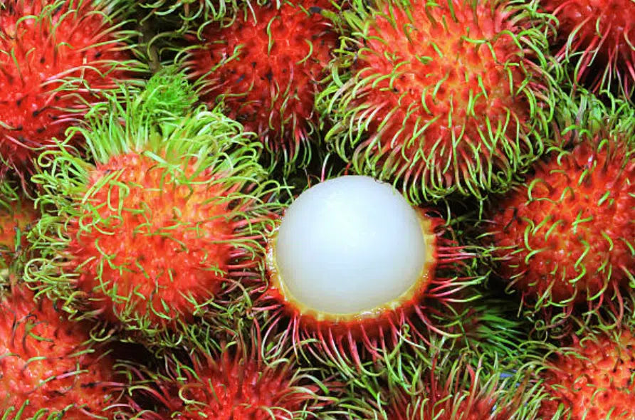 Rambutan