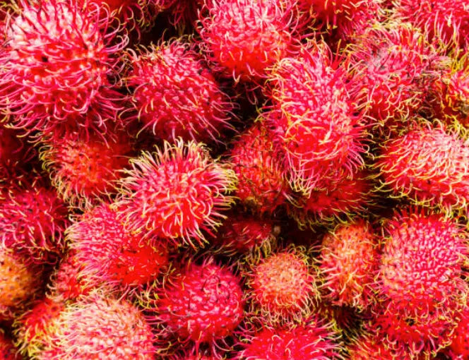 Rambutan
