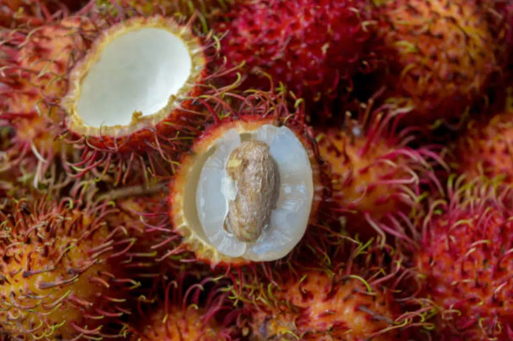 Rambutan