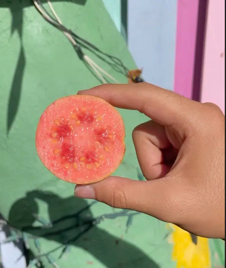 Pink Guava