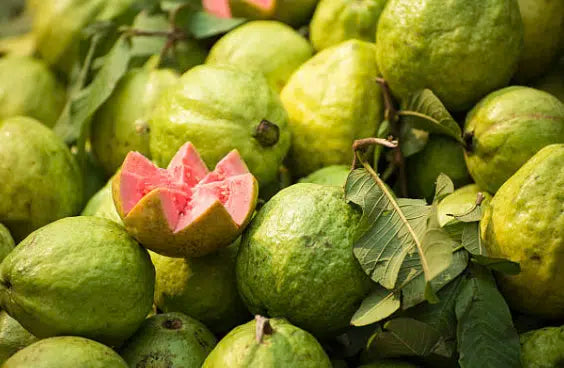 Pink Guava