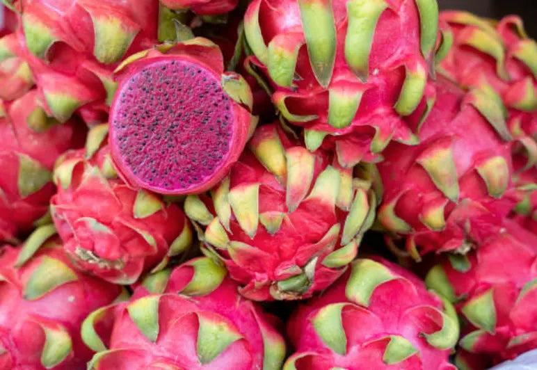 Red Dragon Fruit