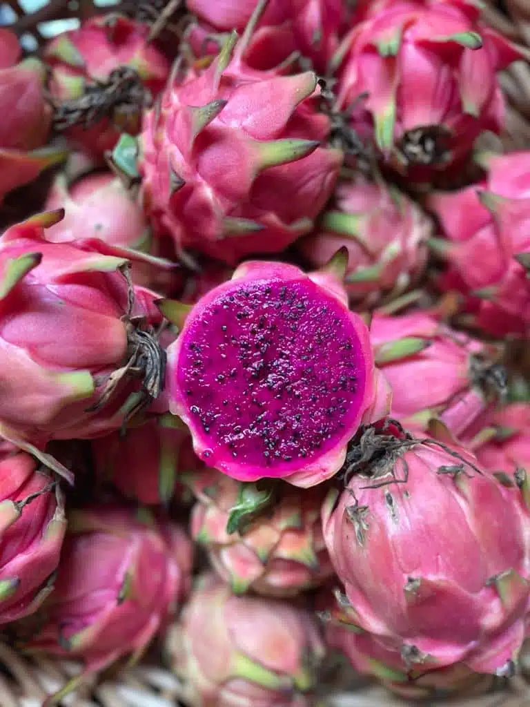 Red Dragon Fruit