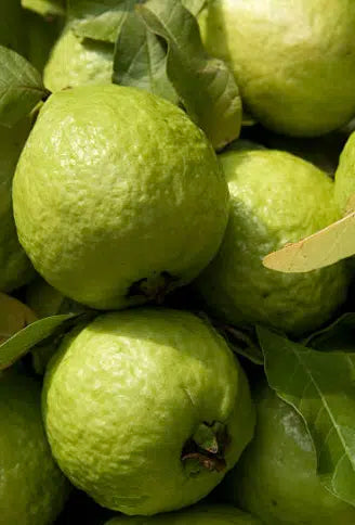 White Guava