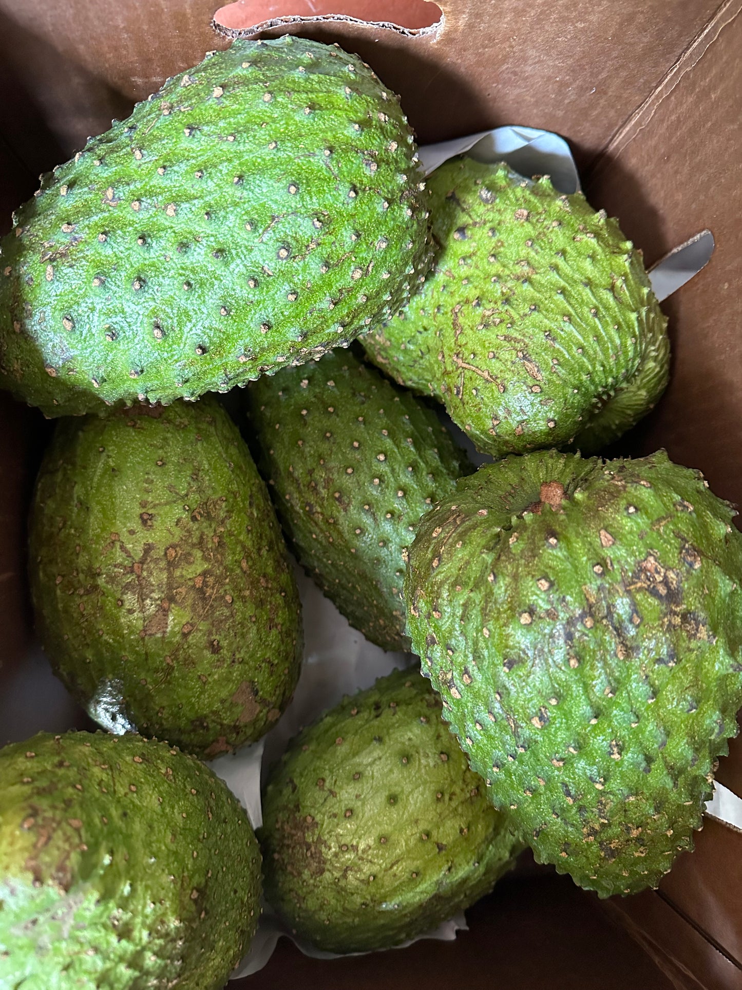 Soursop Guanábana