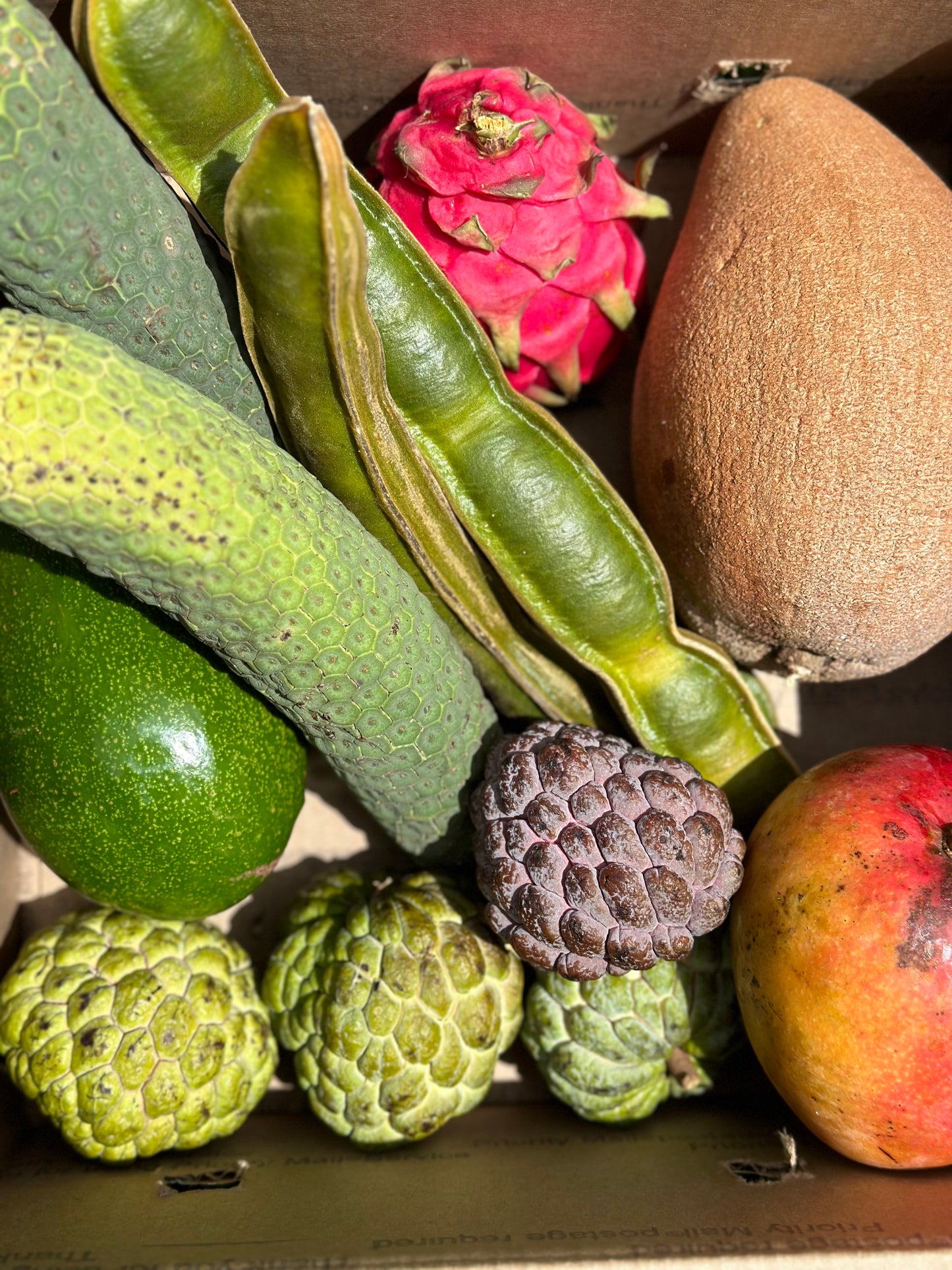 Tropical Fruit Variety Box