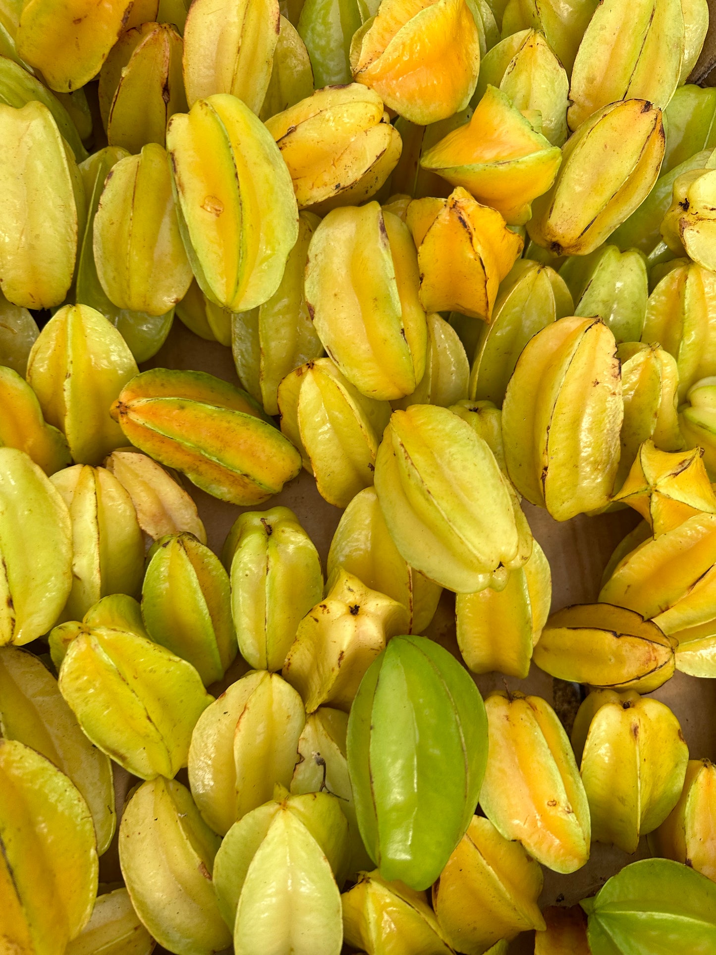 Carambola (star fruit) ***pre-order***