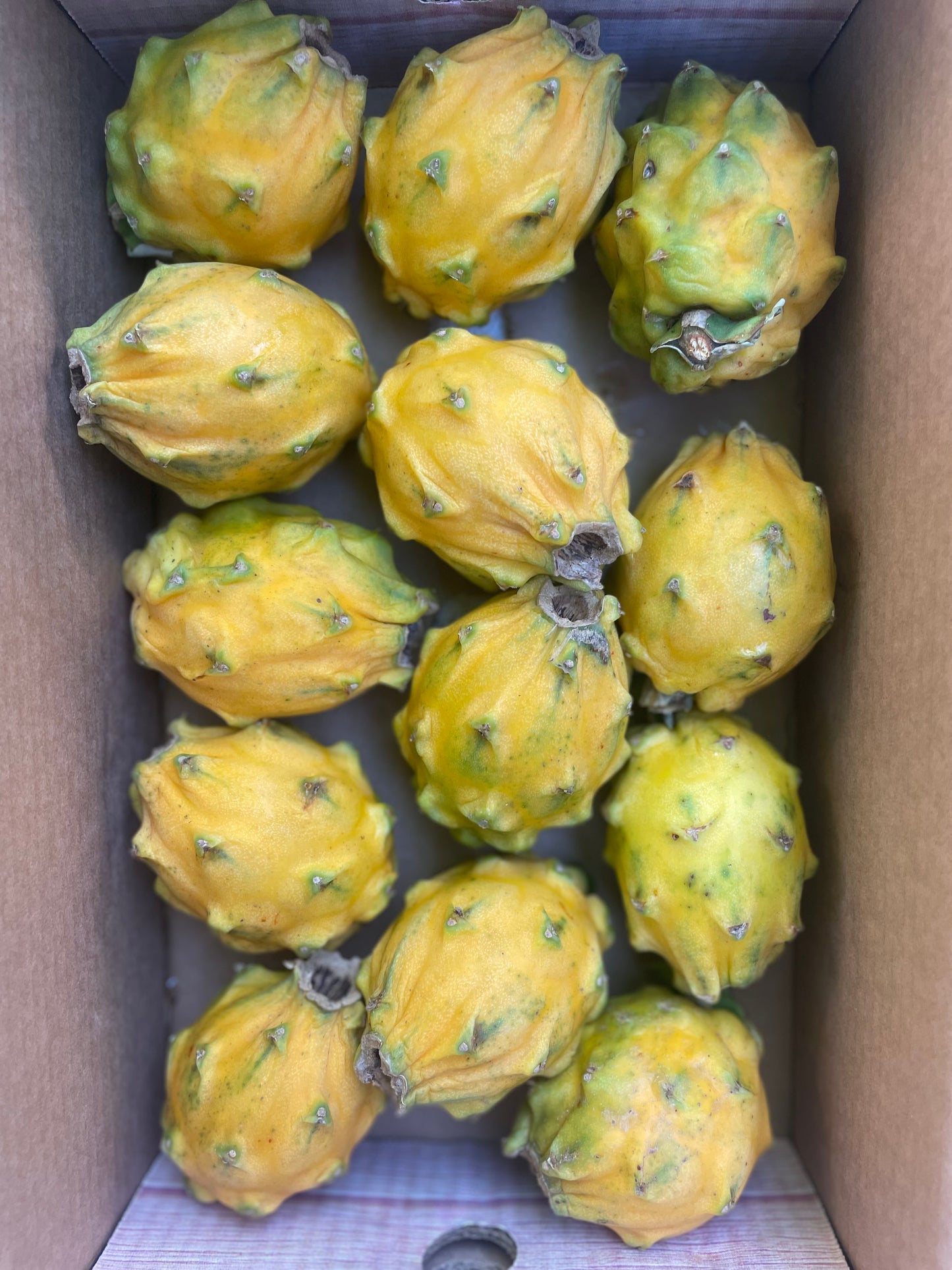 Yellow Dragon Fruit