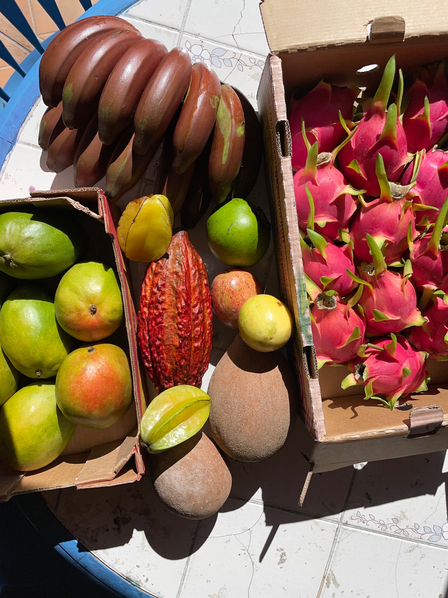 Tropical Fruit Variety Box