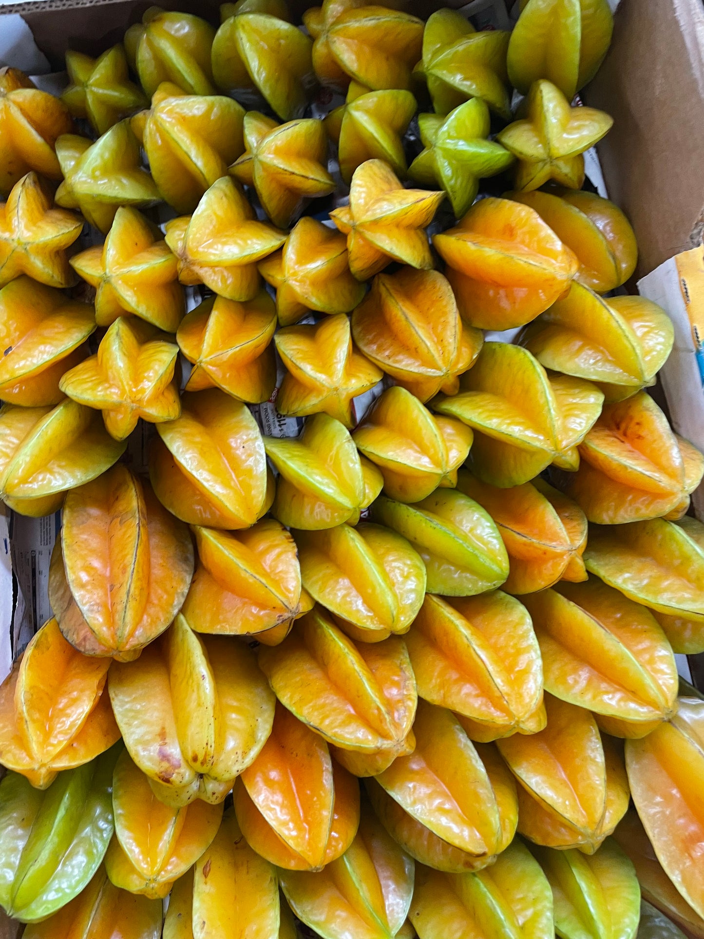 Carambola (star fruit) ***pre-order***