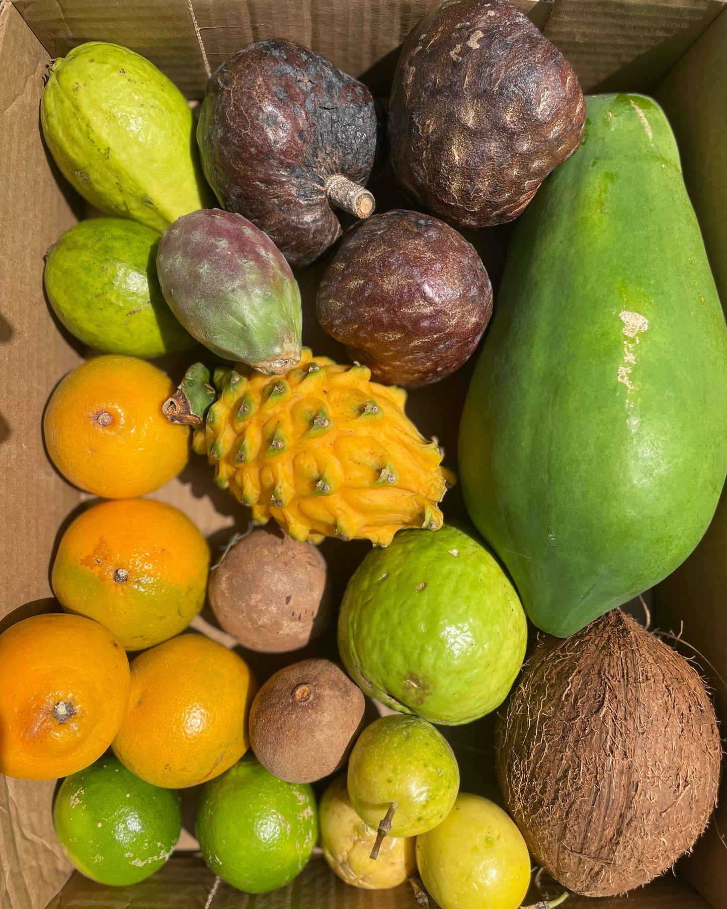 Tropical Fruit Variety Box