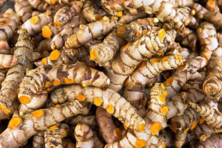 Turmeric