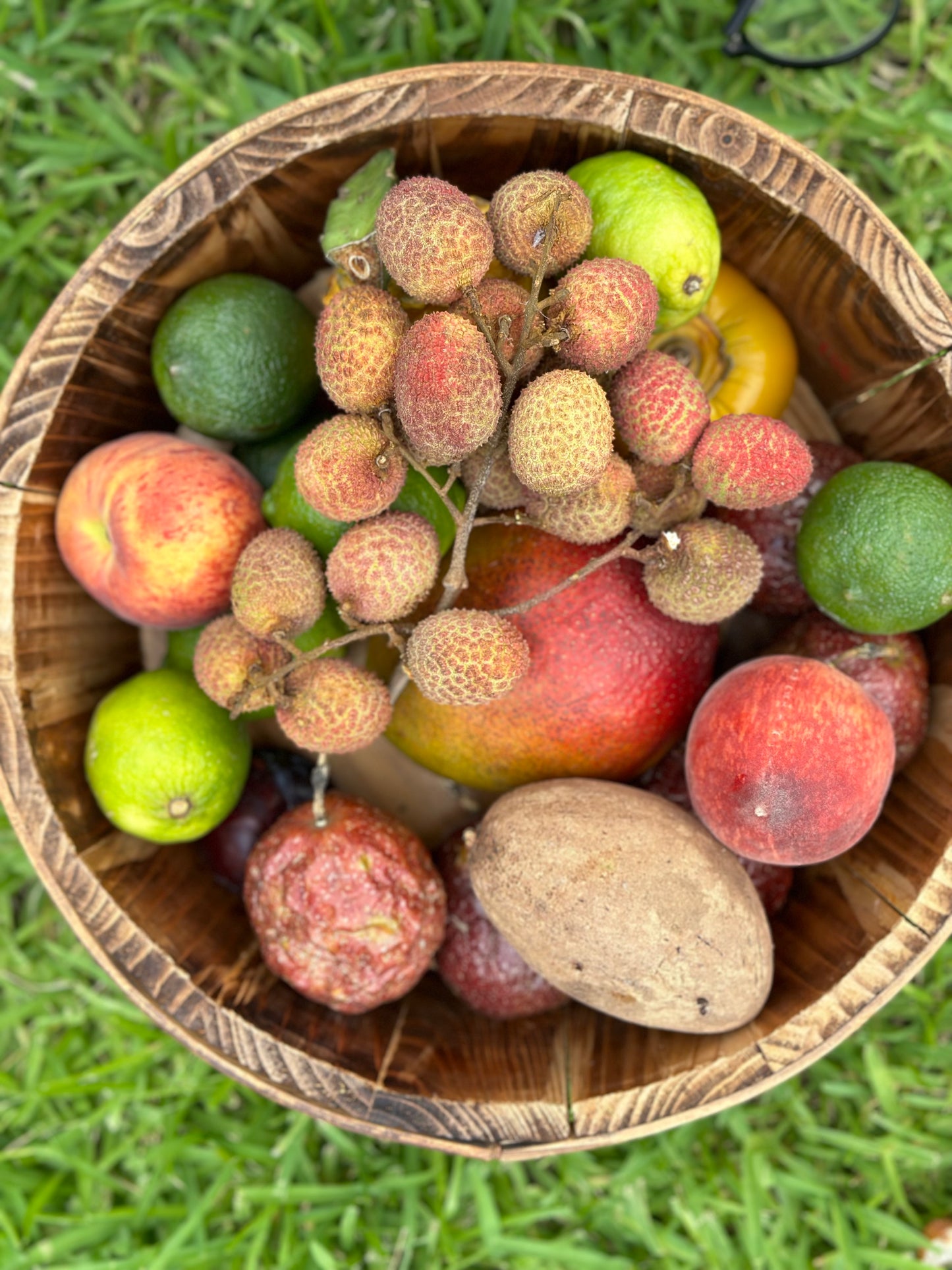 Tropical Fruit Variety Box