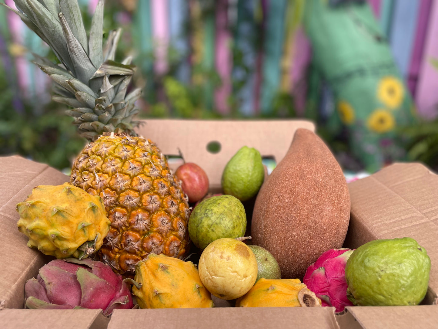 Tropical Fruit Variety Box