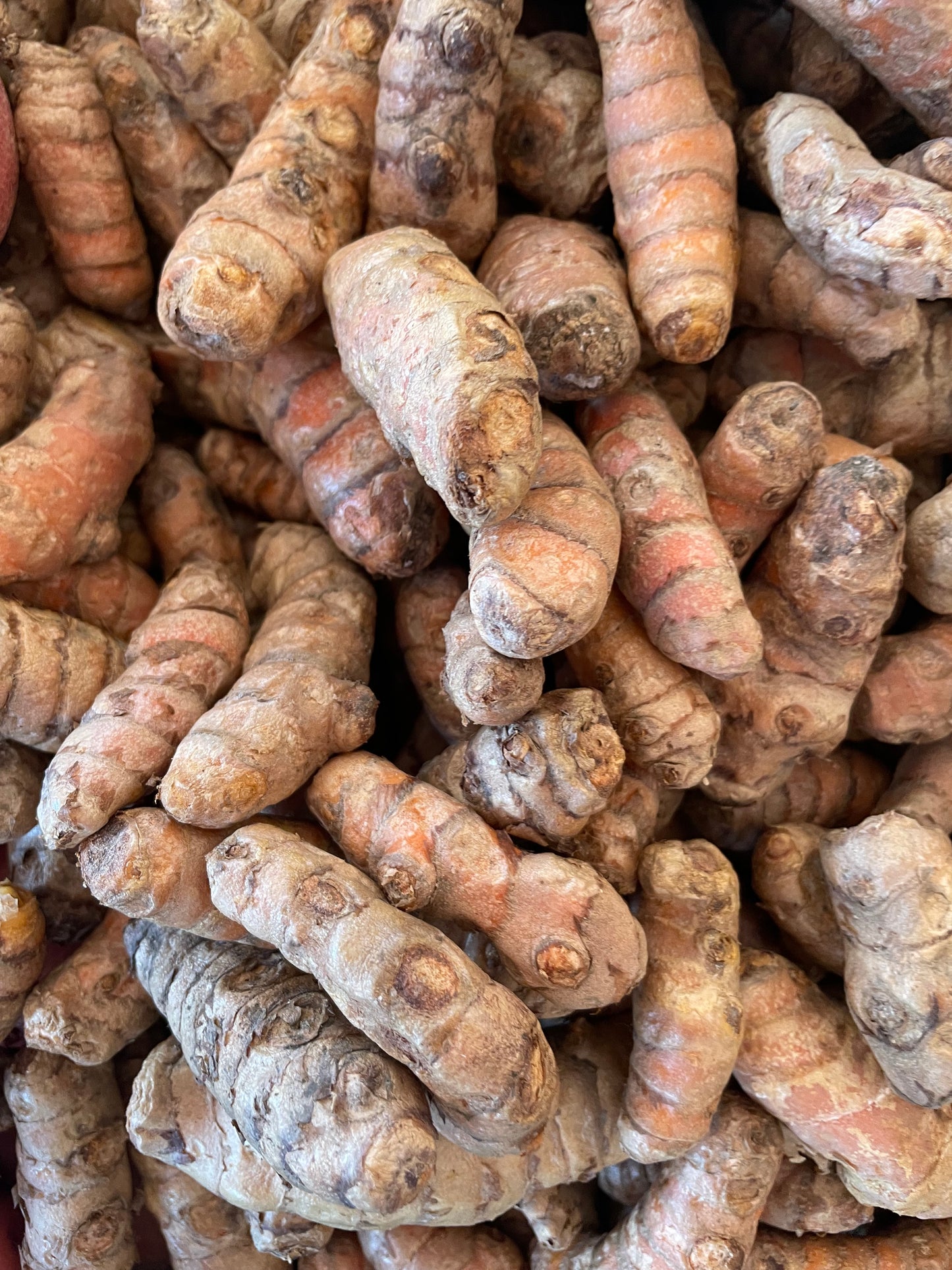 Turmeric