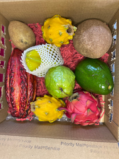 Tropical Fruit Variety Box