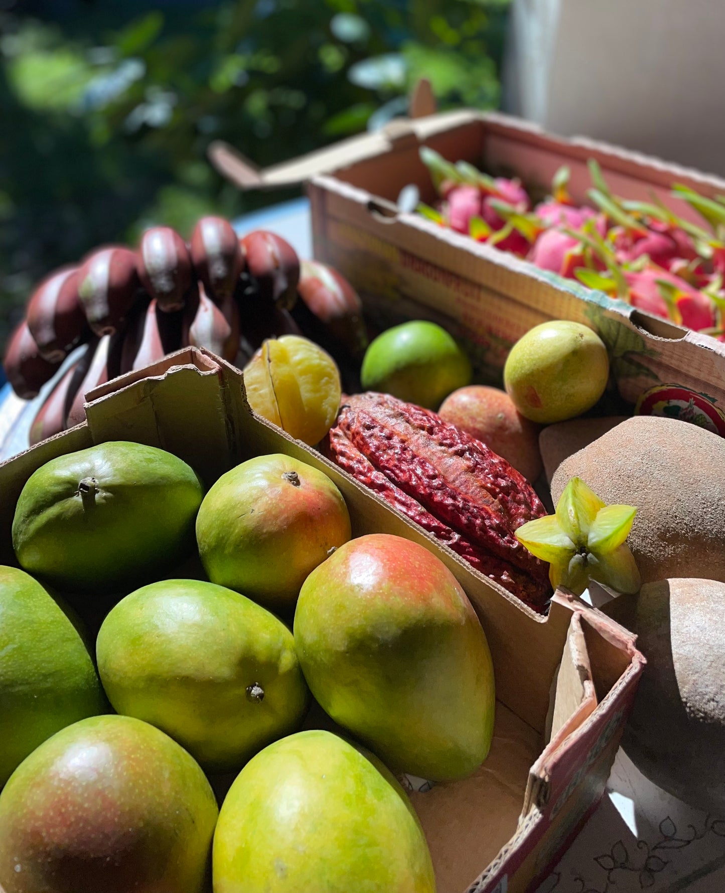 Tropical Fruit Variety Box