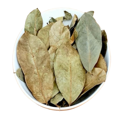 Sun-dried Soursop Leaves